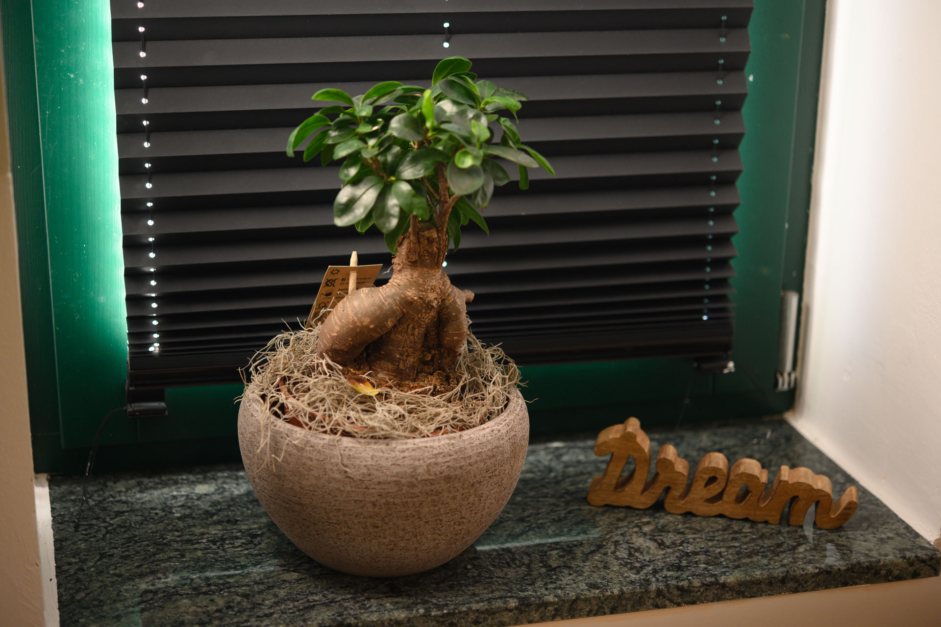 fewo-stubenitzky-26-web